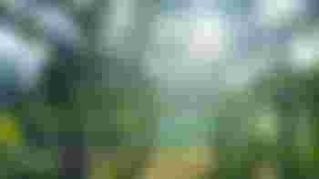 Groene vingers? Dan zoeken we jou! Kom ons helpen met tuinieren 🍅!