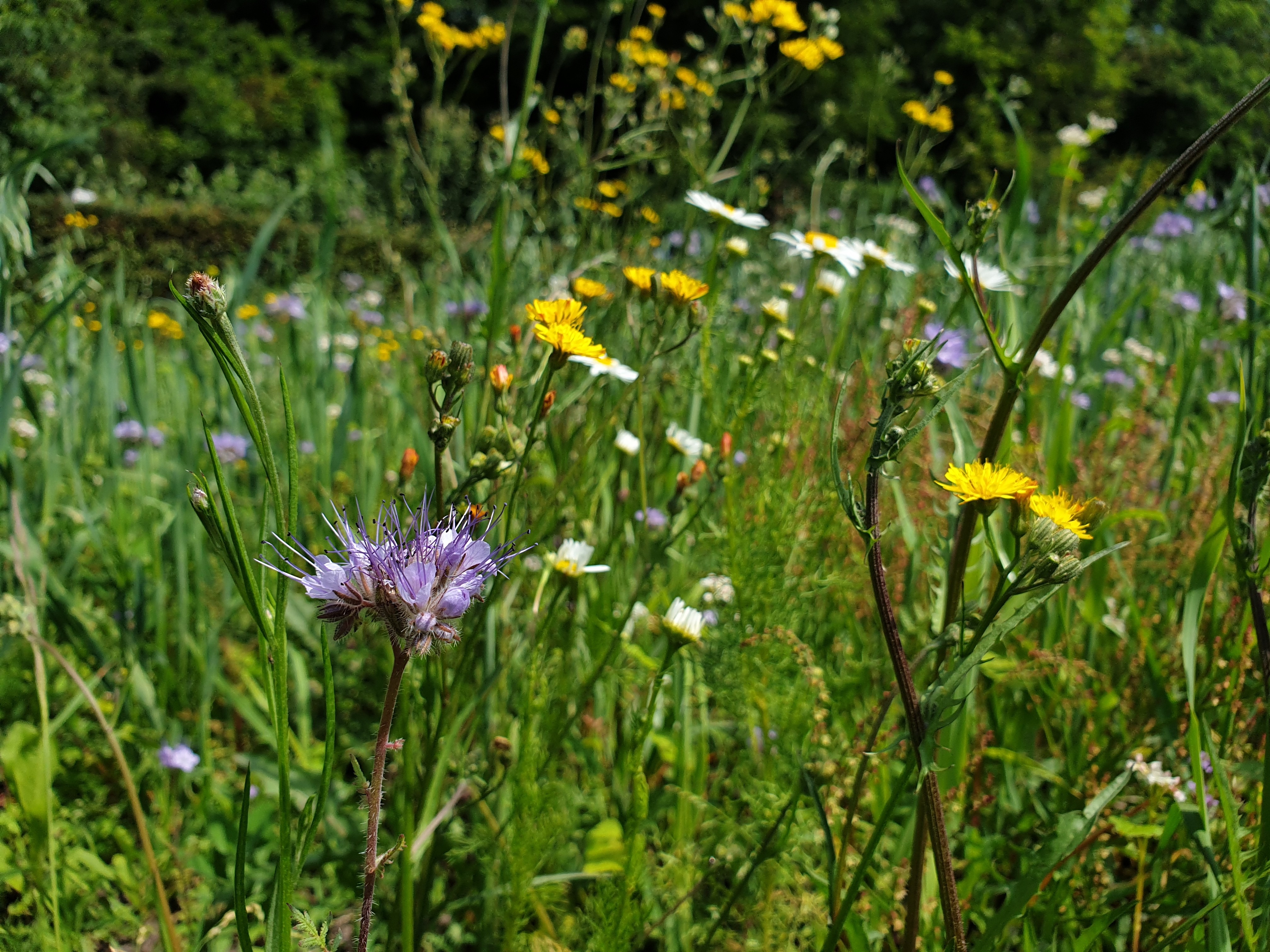 Stichting Boerderij De Viermarken