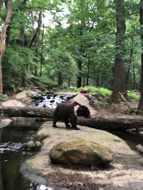 Stichting Bears in Mind