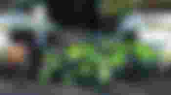 General Board Member