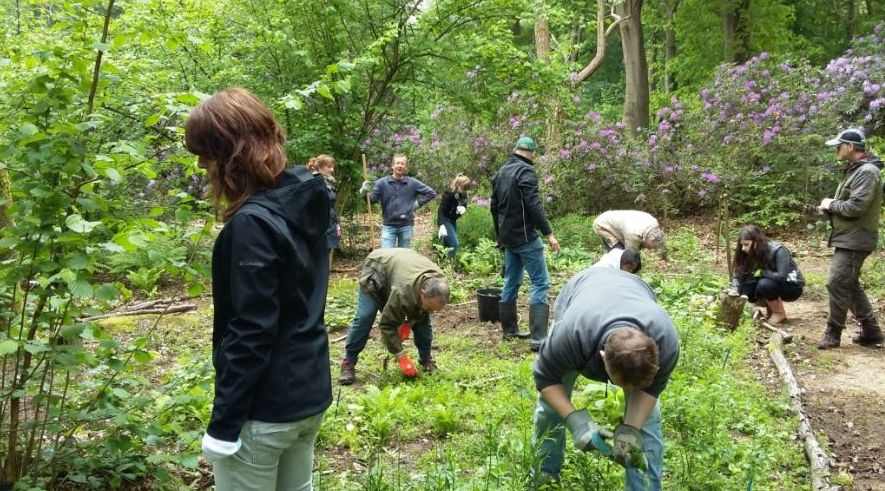 Maintained Arboretum Oostereng.