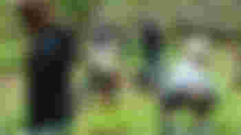 Onderhouden Arboretum Oostereng.