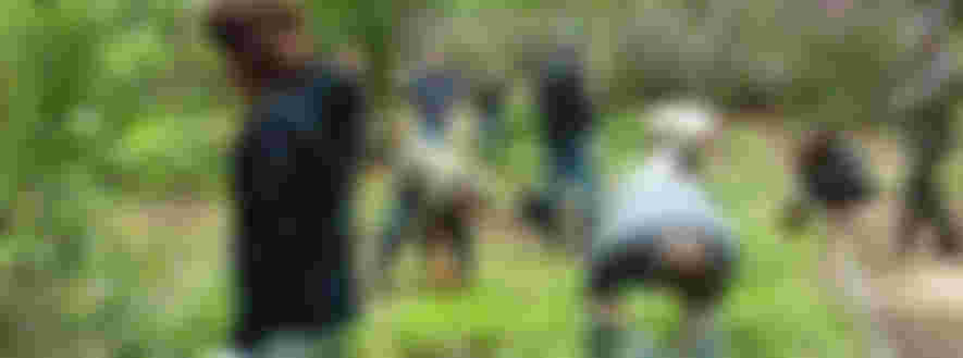 Maintained Arboretum Oostereng.