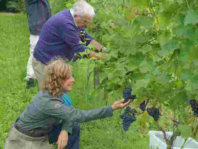 Stichting Wagenings Wijngoed