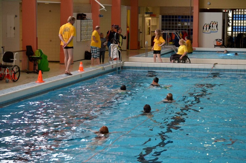 Kameleon, kleurrijk in aangepaste sporten