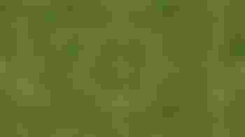 Voetbaltrainer Jeugd