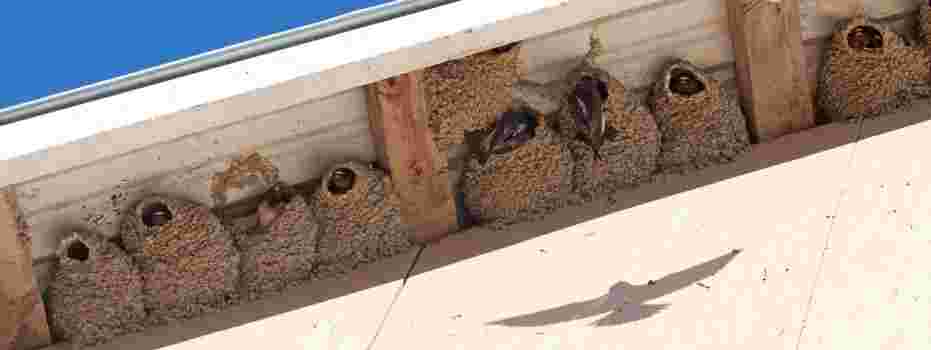 Gezocht: verzorg(st)er❤️voor in de nachtdienst!