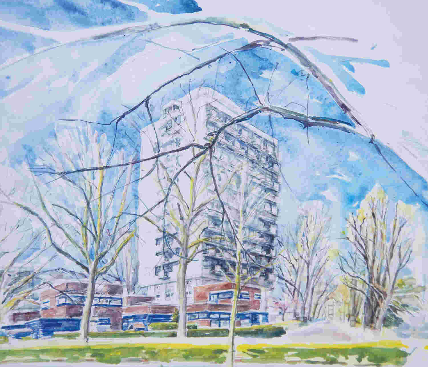 Gebiedscoöperatie Wijk25