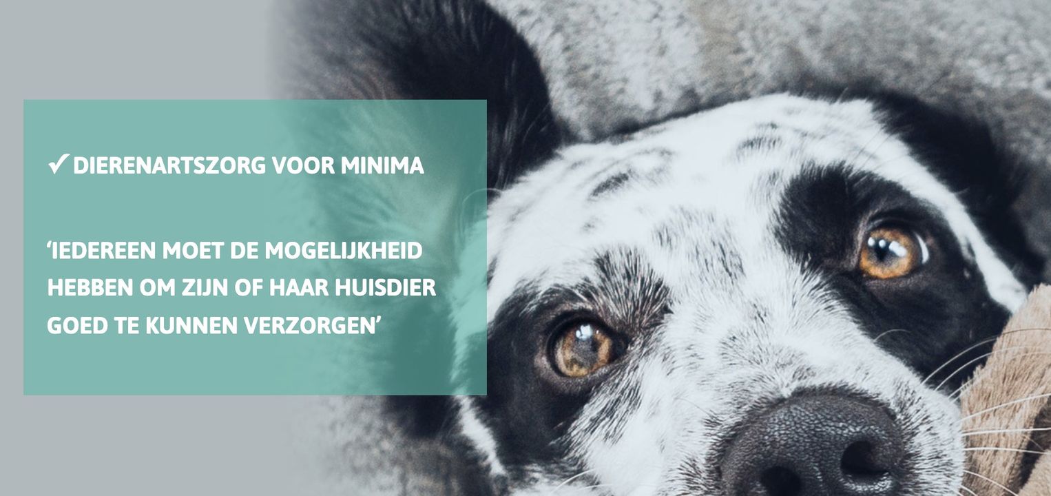 Stichting Minimaatje