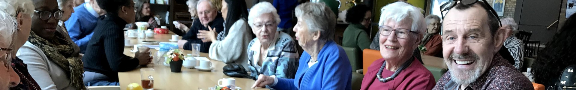 Vereniging Nederlandse Organisaties Vrijwilligerswerk (NOV)