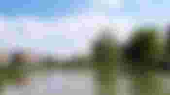 Bewonersplatform Wateringse Veld zoekt een bestuurslid en voorzitter