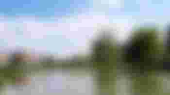 Bewonersplatform Wateringse Veld zoekt een bestuurslid en voorzitter