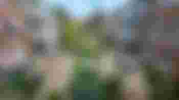 Weekend vrijwilliger