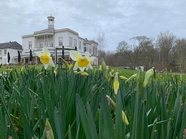 Stichting tot behoud van de Historische Buitenplaats Ockenburgh
