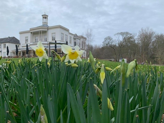 Stichting tot behoud van de Historische Buitenplaats Ockenburgh