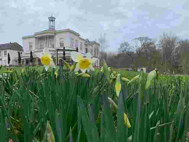 Stichting tot behoud van de Historische Buitenplaats Ockenburgh