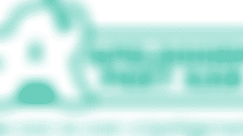 Training Vertrouwenscontactpersoon NOC*NSF