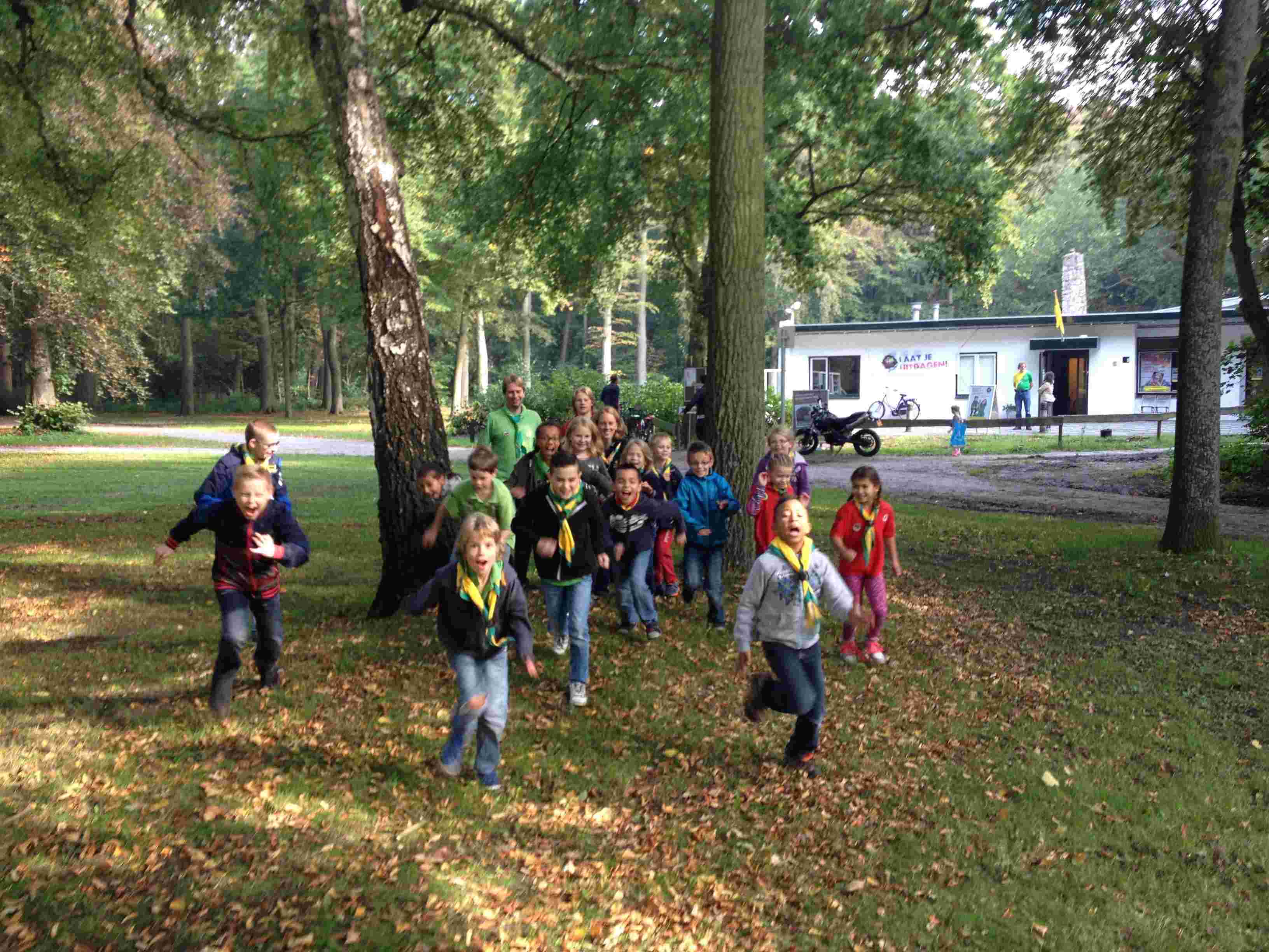 Scouting Rimboejagers