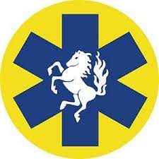 Twentsewens Ambulance