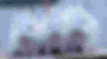 Corporate Volunteering Day