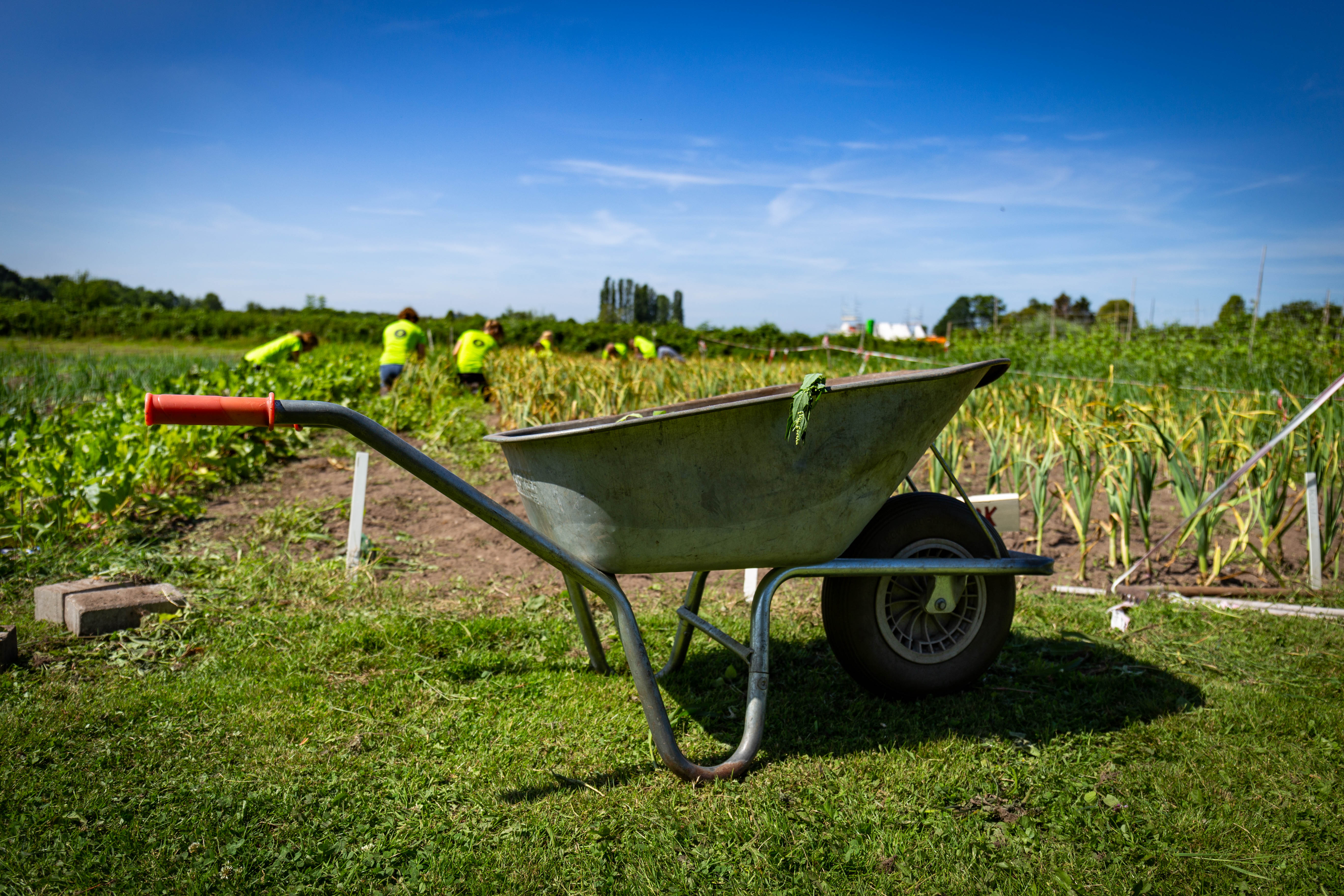 Stadsakkers Apeldoorn