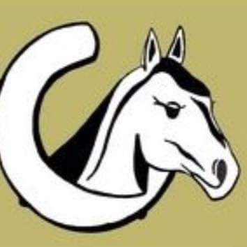 Stichting Paard in Nood