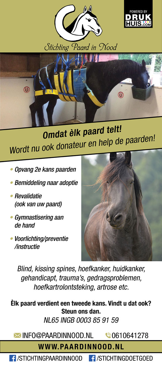 Stichting Paard in Nood