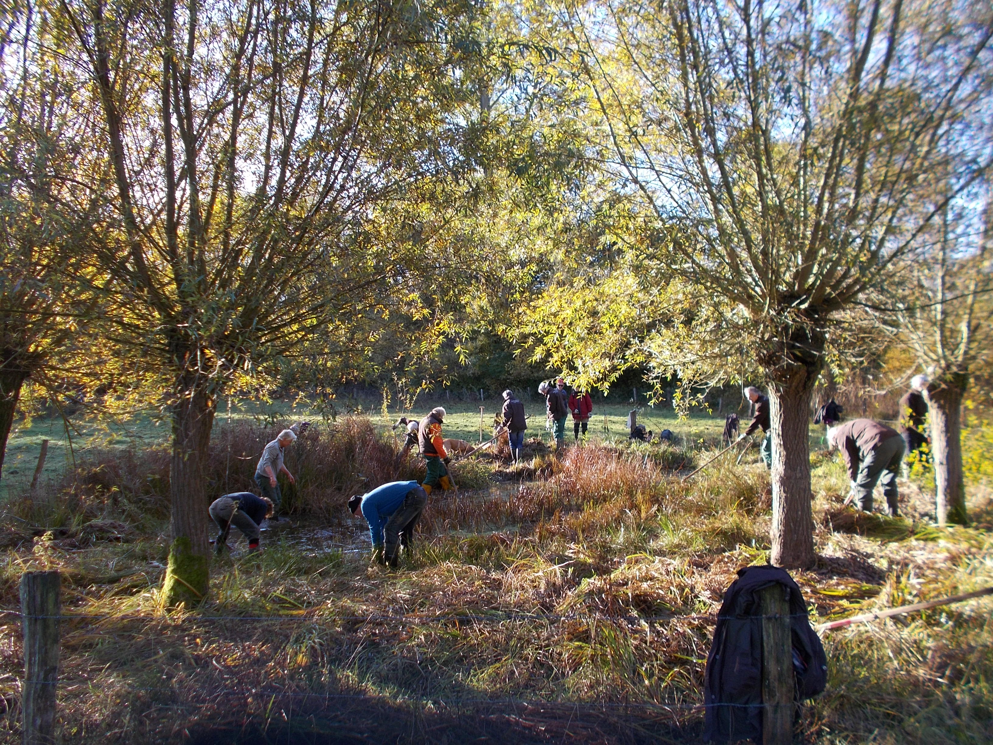 wekelijks werken in de natuur rondom Deventer