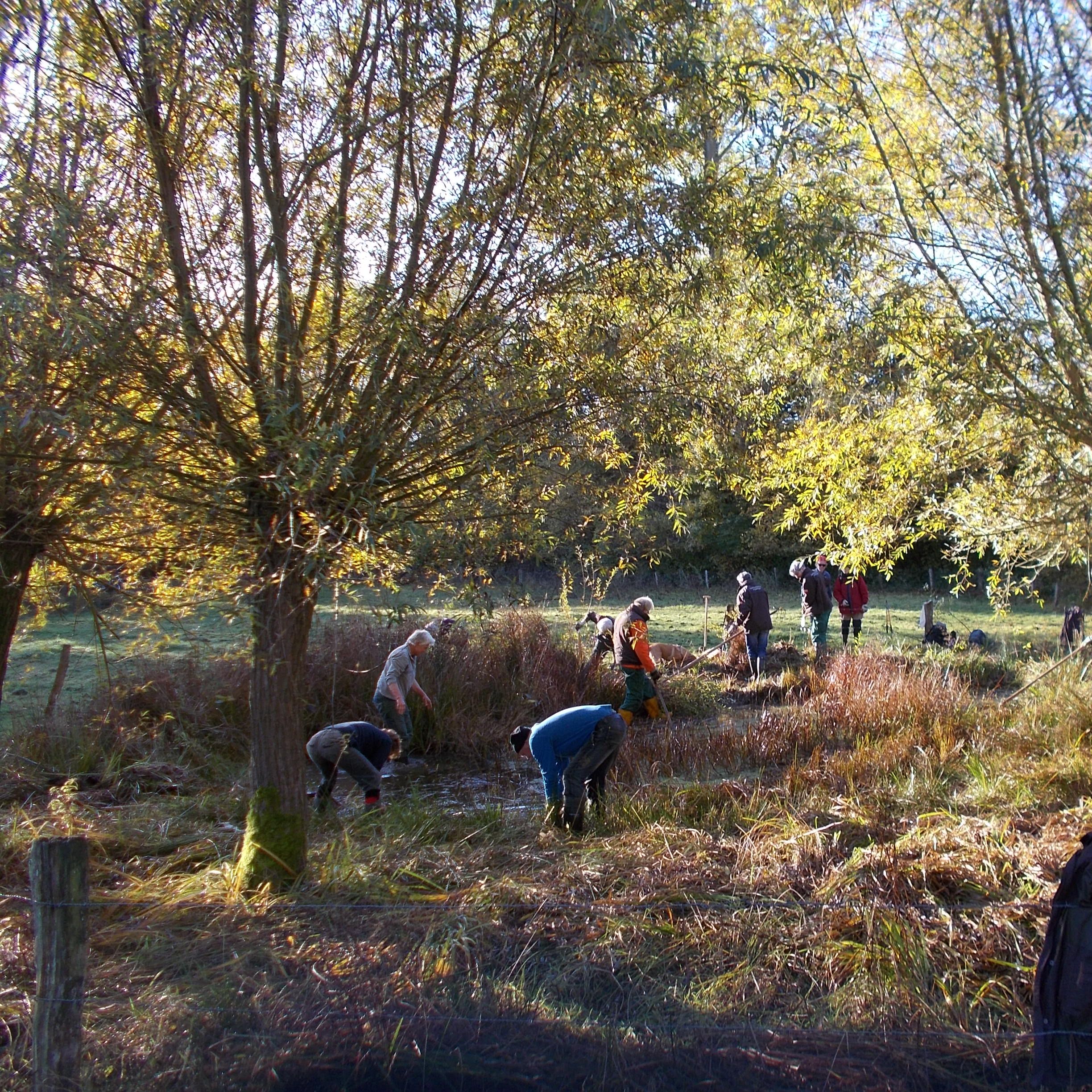 Stichting Groene Knoop Deventer