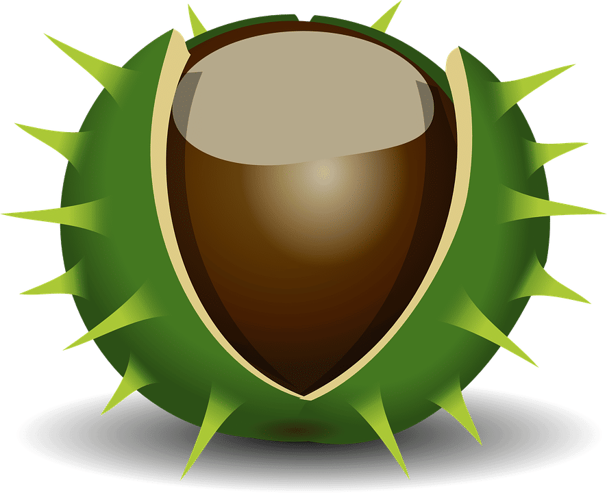 Buurtkamer De Kastanje