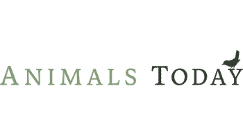 Animals Today