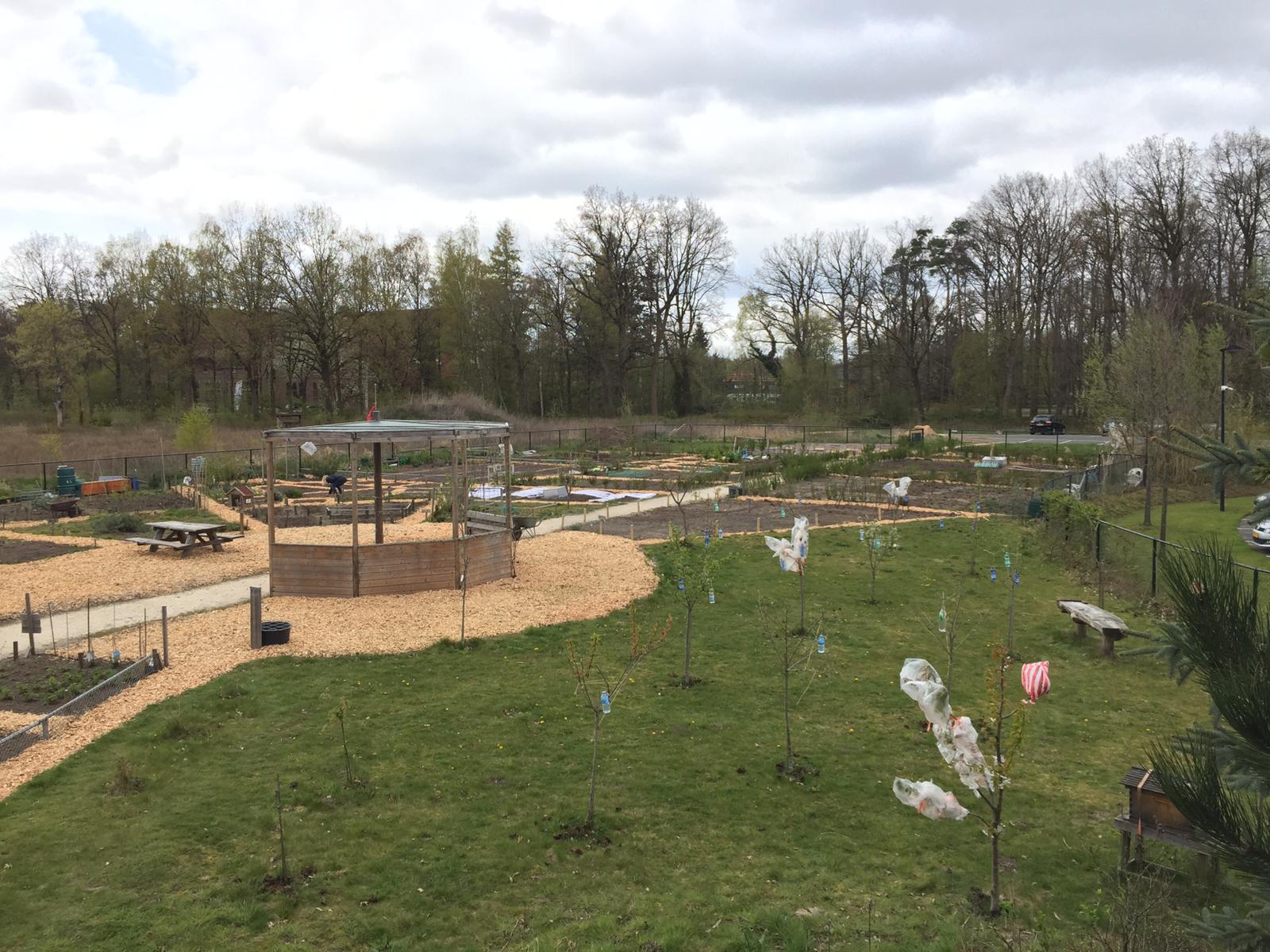 Wijkontmoetingstuin de Kloostertuin