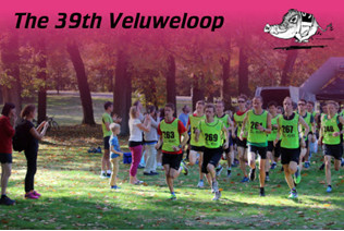 Stichting De Veluweloop