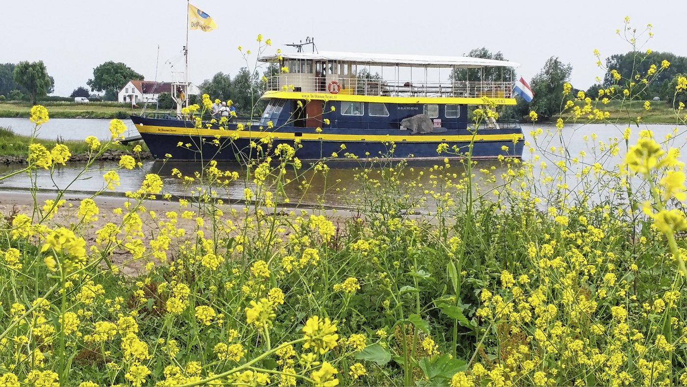 Stichting Rijnoevervaarten