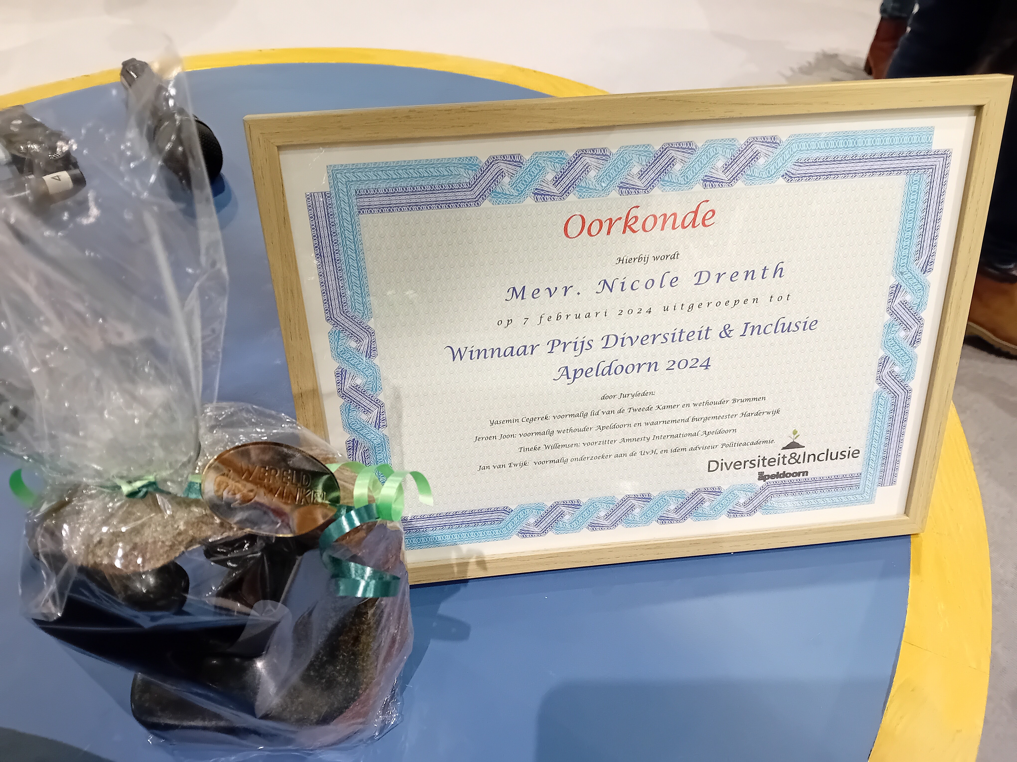 De Nieuwe Nederlanders