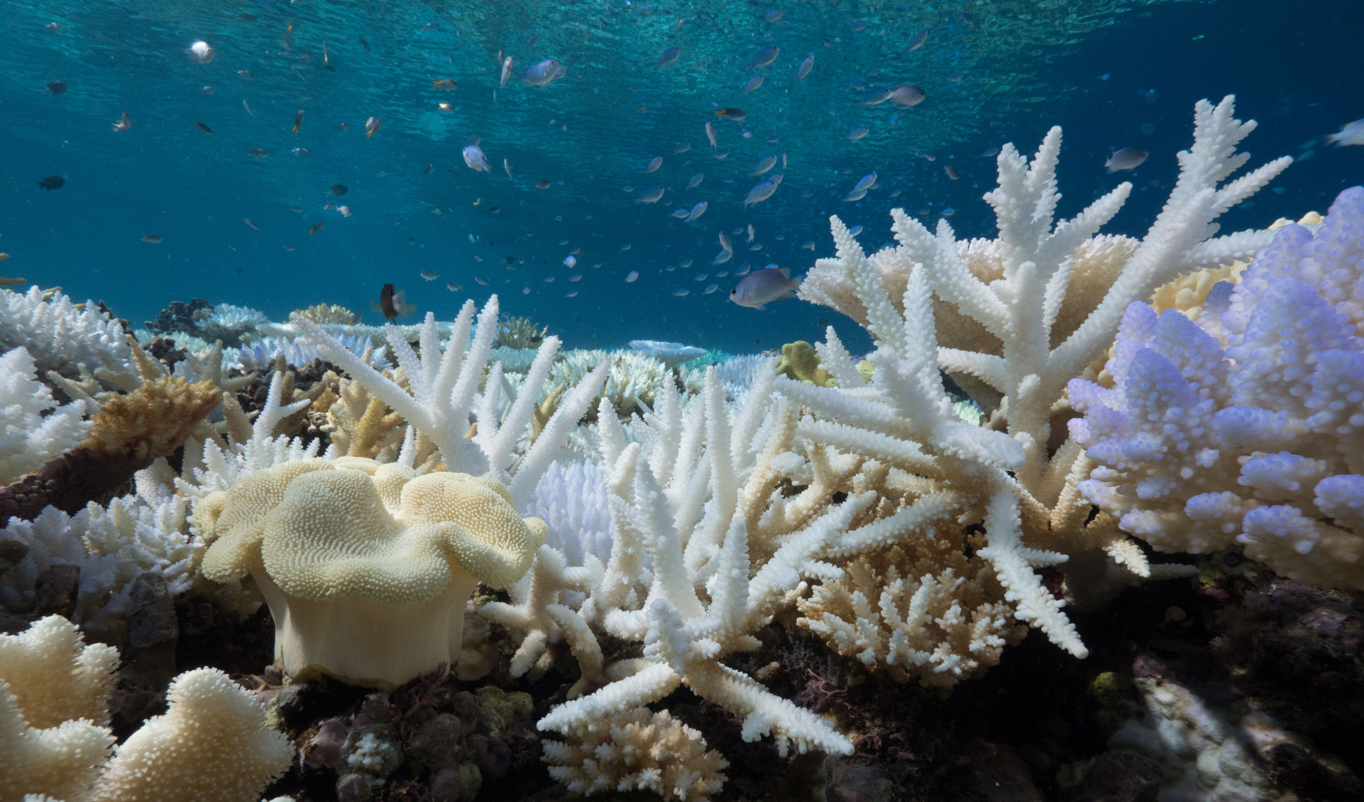 Volunteer Managers Space