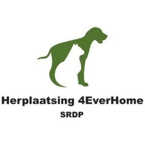 Herplaatsing 4EverHome