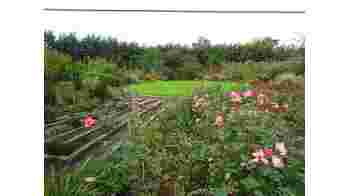 Stiltetuin de Regenboog