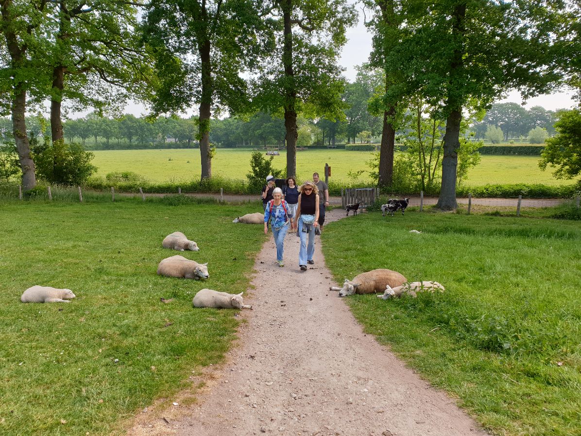 Gezond Natuur Wandelen