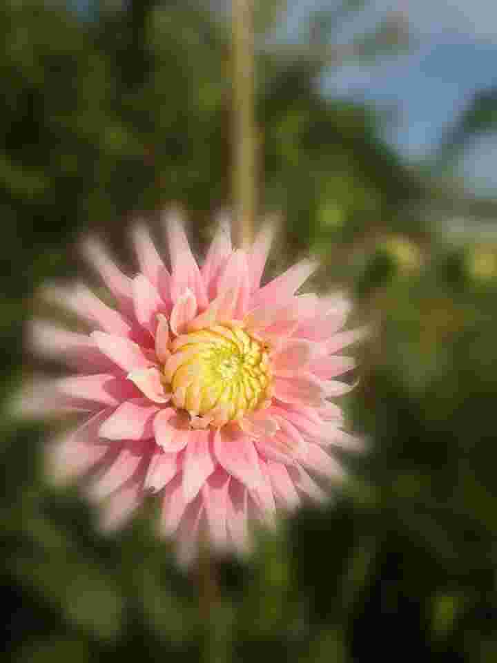 Green Care at Norton CIC