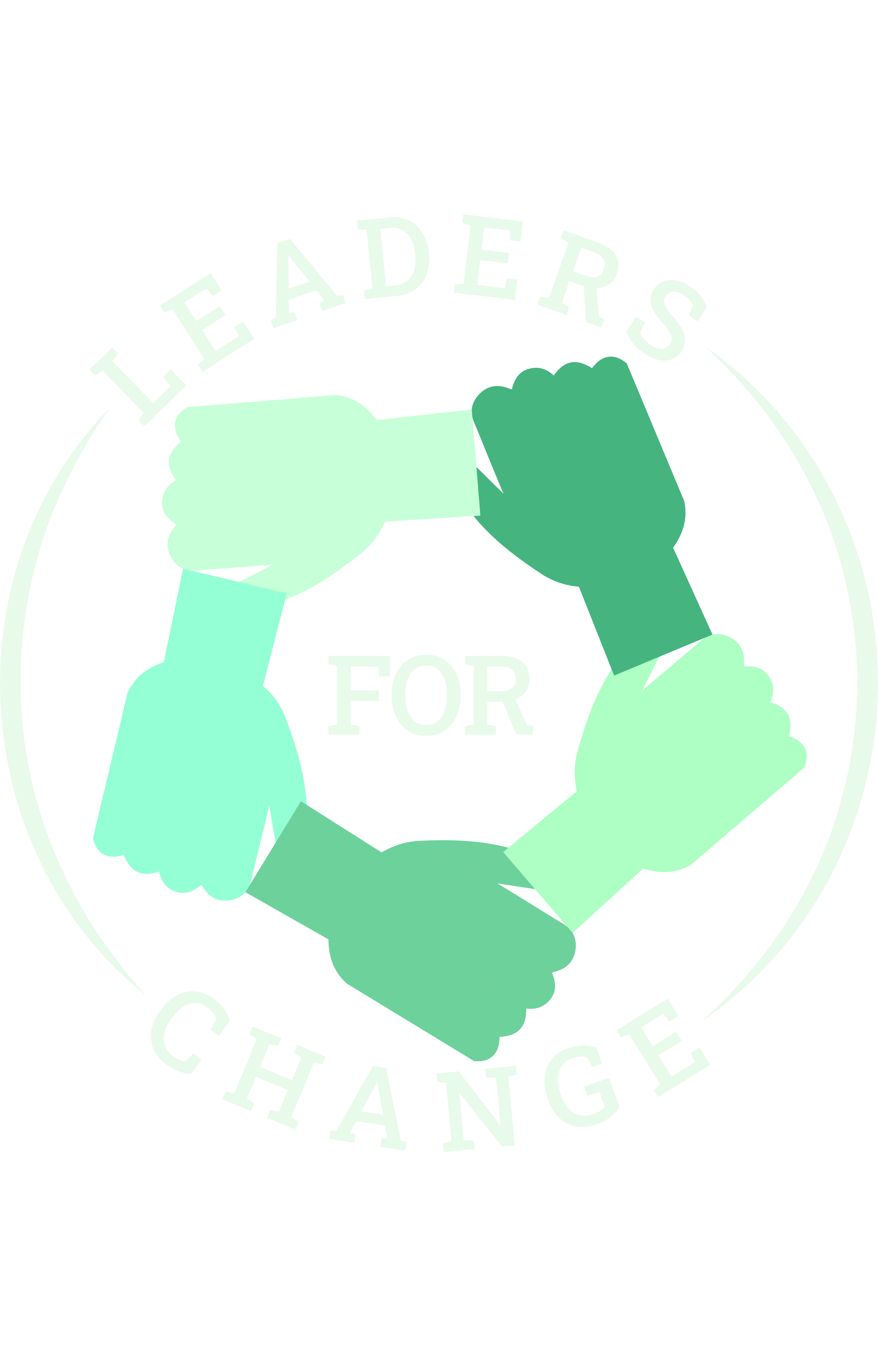 Leaders for Change Disaster Mitigation and Response Team  ( DMRT)