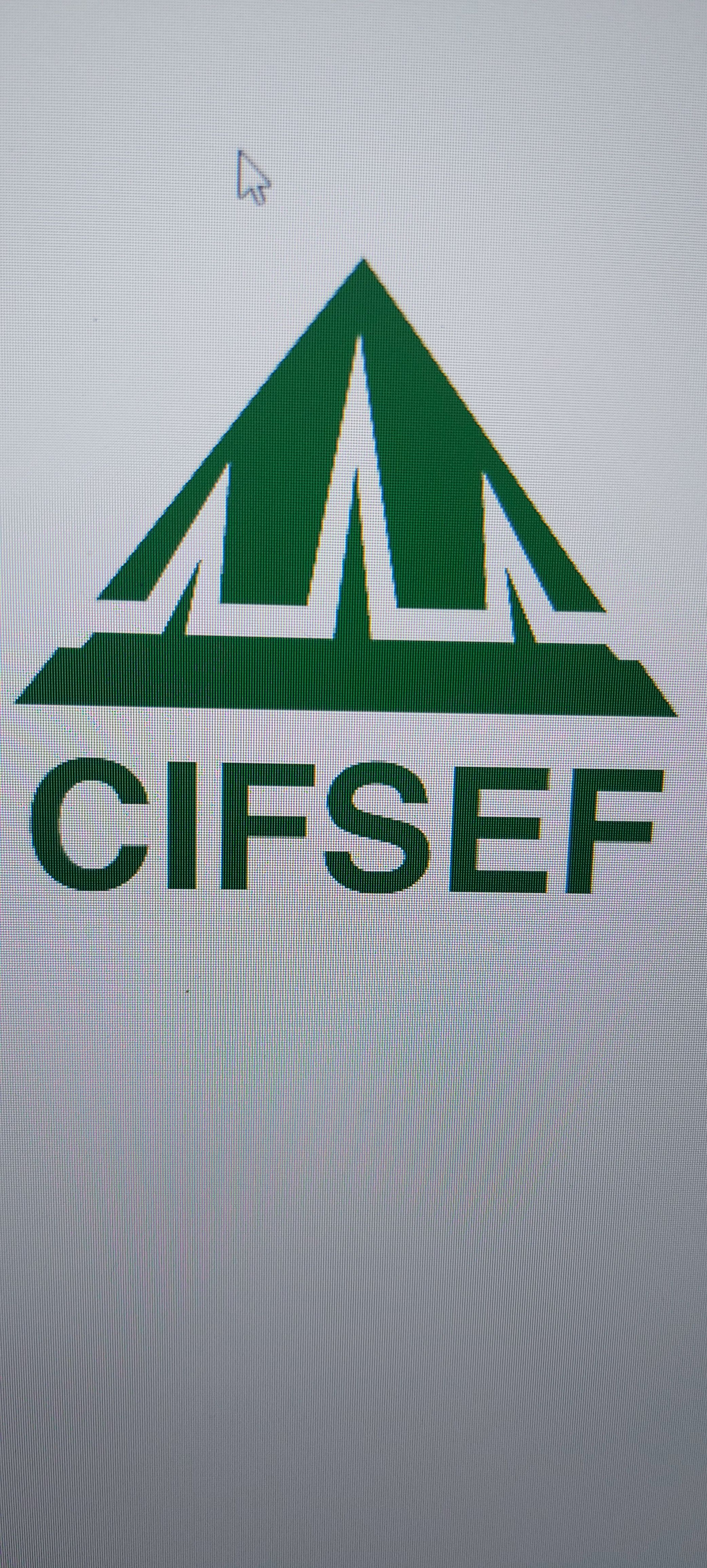 The Caribbean Institute for Social Education (CIFSEF)