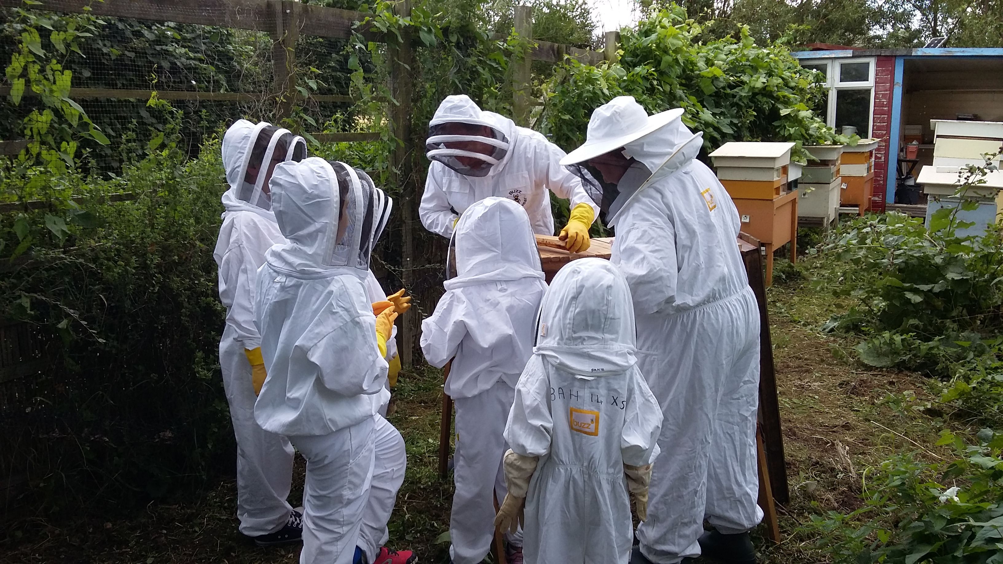 Beekeeping support
