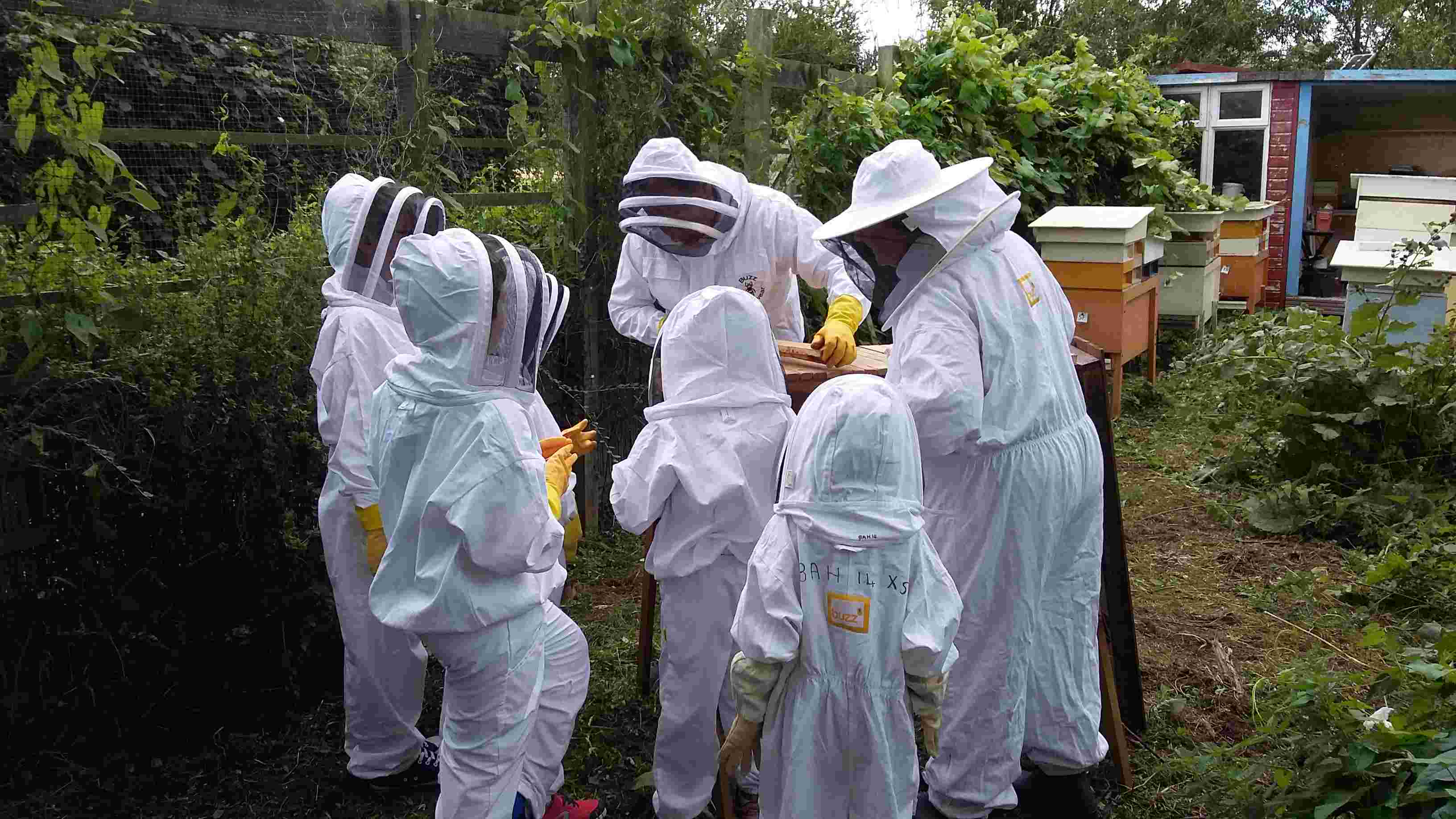 Beekeeping support