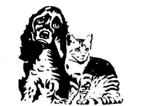 Animal Care Volunteer