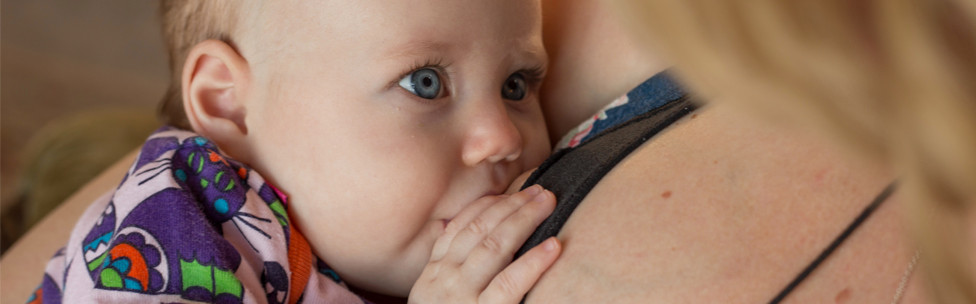 Borstvoedingorganisatie La Leche League