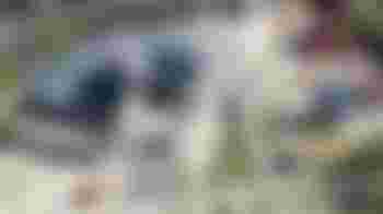 Safe Haven Volunteer