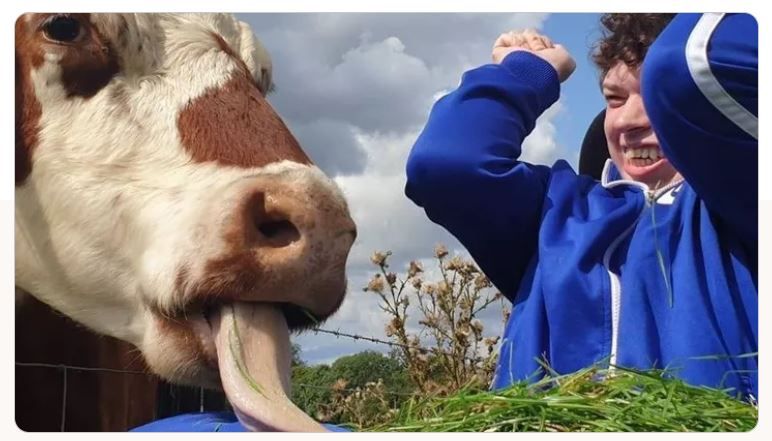 Church Farm Ardelely Cic