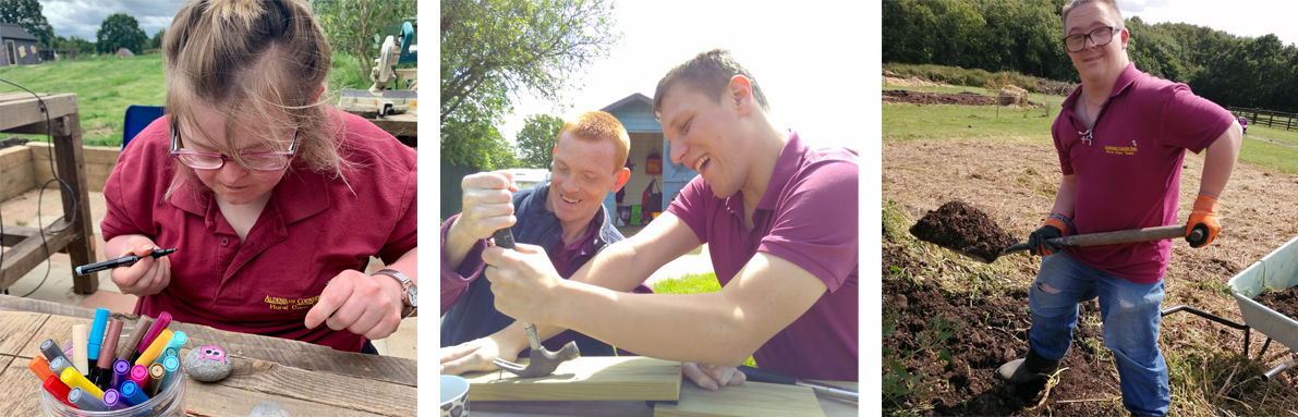 Aldenham Country Park