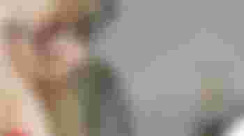 Safeguarding Champion